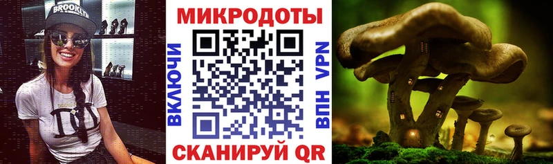 Псилоцибиновые грибы GOLDEN TEACHER  Онега 